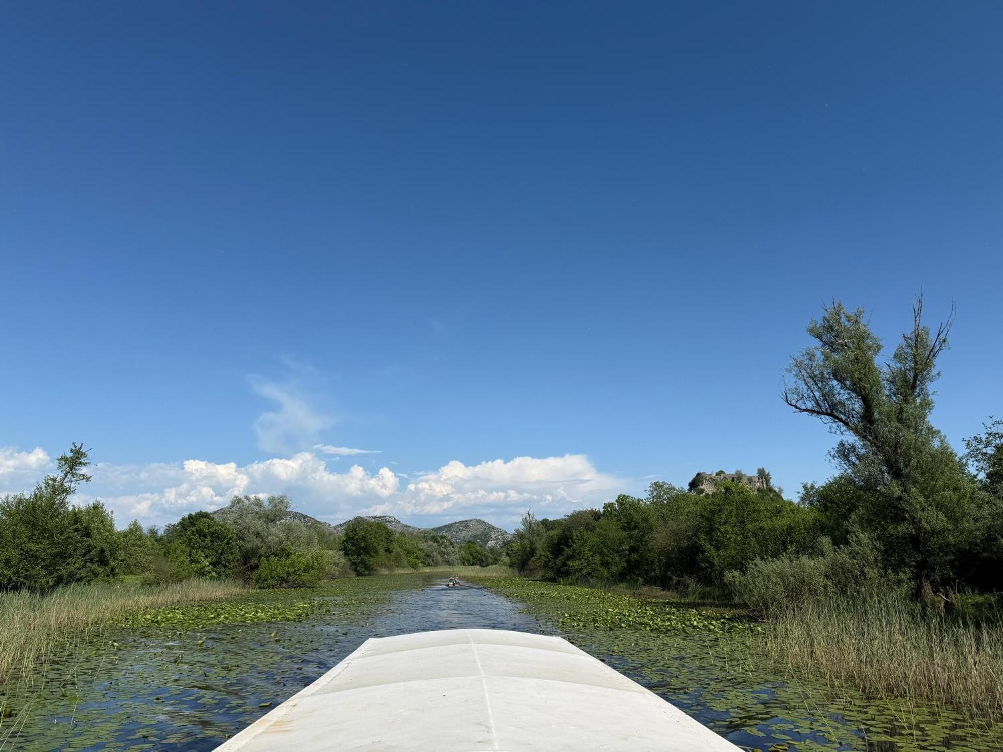 Lake Skadar Paradise Dodosi Exteriör bild